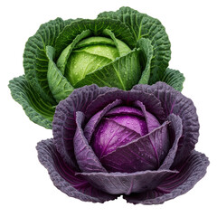 Obraz premium Two vibrant heads of fresh green and red cabbage, adorned with glistening water droplets, perfect for healthy cooking and culinary designs.