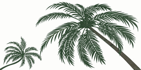Palm trees branch foliage summertime foreground cut out white backgrounds 3d realistic rendering