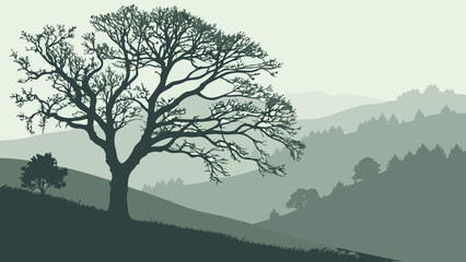 Obraz premium Silhouette of a large tree on a hillside with distant misty mountains in a muted color landscape view