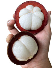 Mangosteen, mangosteen pulp, mangosteen tree, raw mangosteen, white mangosteen
