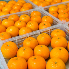 orange fruit Orange, orange juice, orange tree, orange pulp, fruit, juice