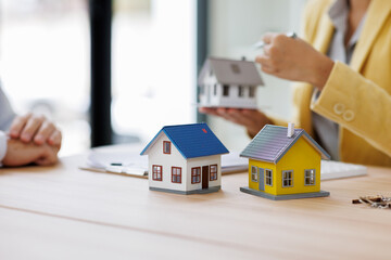 House model over the Sale representative offer the price list and condition for purchase or rental...
