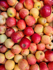 Pink-sided apples have a fresh, zesty flavor and a crisp, juicy texture.
