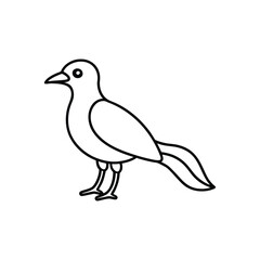 Fototapeta premium A koji Line art vector illustration.