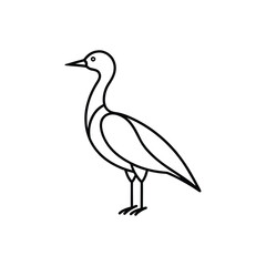 Fototapeta premium A nari Line art vector illustration.
