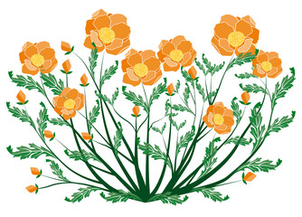 bouquet of flowers vintage