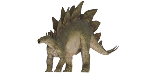 Fototapeta premium Realistic depiction of a Stegosaurus dinosaur