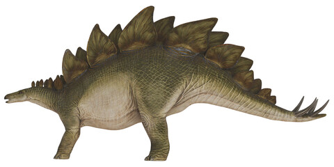 Realistic illustration of a Stegosaurus dinosaur.