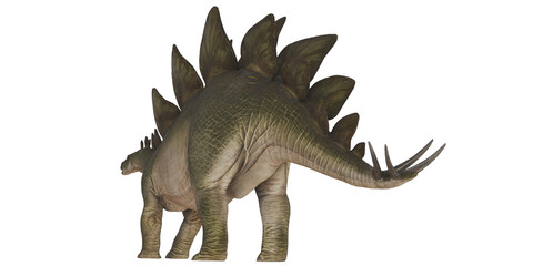Stegosaurus dinosaur in a realistic pose