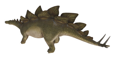 3D rendering of a Stegosaurus dinosaur.