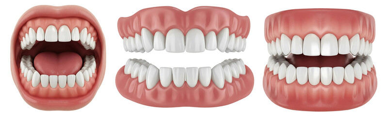 Three sets of realistic human teeth isolated on transparent background