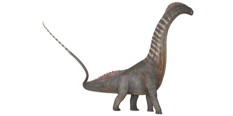 Fototapeta premium Majestic Brachiosaurus on white background