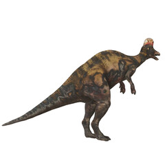 Realistic dinosaur model in neutral background