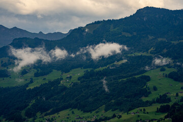 Forest background. Forest in the Alps mountains, Swiss. Mountain landscape. Forest landscape. Mountain side forest of trees in Switzerland. Ecosystem nature and environment concepts. Natural landscape