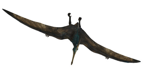 Pterosaur flying in a vast prehistoric sky. © Ilie