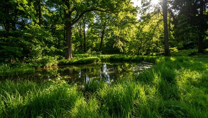 Sunny forest scene with a pond. Lush greenery surrounds a tranquil body of water, dappled sunlight filters through the trees