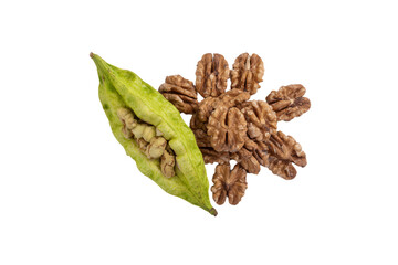 a bunch of nuts and a leaf on a white surface