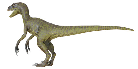 Realistic depiction of a Velociraptor dinosaur