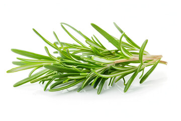 Fototapeta premium Fresh Rosemary Sprig Isolated on White Background