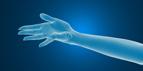 Digital rendering of a transparent human hand and arm on a blue background.