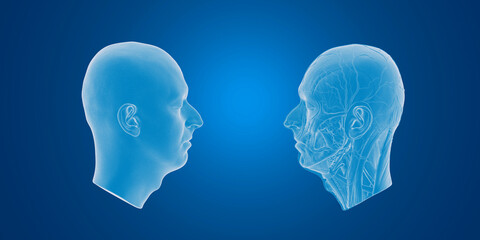 Digital illustration of two translucent human head profiles on a blue background.