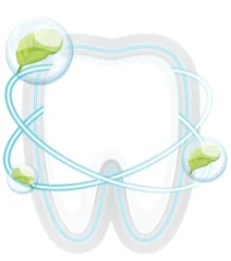 Fototapete Clean Tooth with Eco-Friendly Elements and Blue Orbits © GraphicsRF