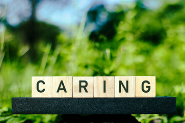 A close-up image shows wooden letter blocks spelling out the word 