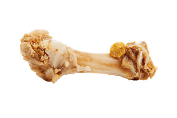 a bone with a piece of chicken on it