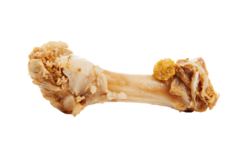a bone with a piece of chicken on it
