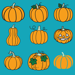 Collection of autumn harvest pumpkin and vegetable illustrations