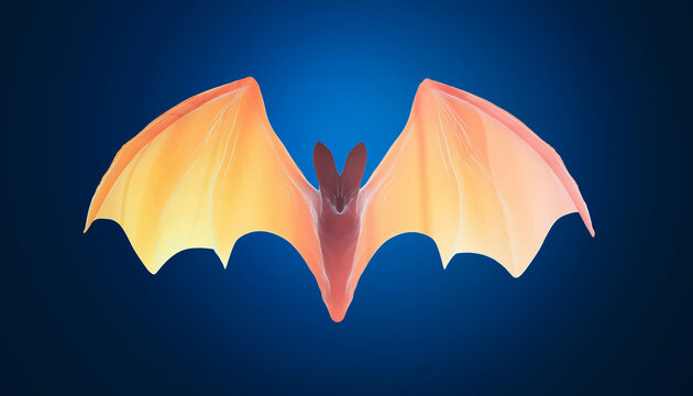 Stylized bat with vibrant orange wings on a deep blue background.