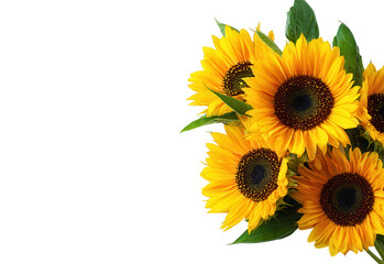 Bright Yellow Decorative Sunflower Border with Green Leaves on Transparent Background
