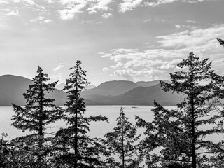 Overlooking Porteau Cove in Black and White on a Summer Afternoon