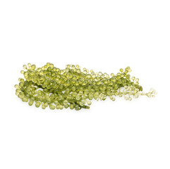 Seagrapes ( green caviar ) seaweed isolated  on transparent background (.PNG)