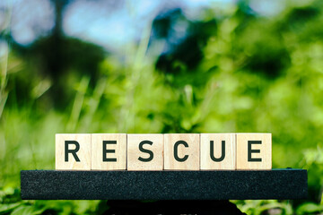 
A close-up image displaying wooden letter blocks spelling out the word 