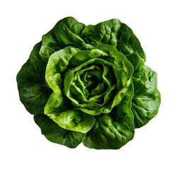 Fototapeta premium Fresh organic lettuce head isolated on transparent background top view closeup