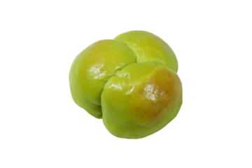 a green apple with a knot on top