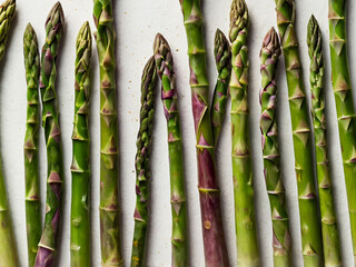 Fototapeta premium Fresh green asparagus stalks with purple hues vegetable