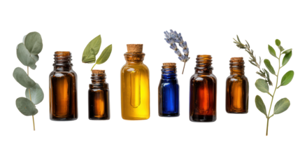 Aromatherapy Essential Oils: A flat lay of aromatherapy essential oils in bottles, isolated on a Transparent background, PNG file.