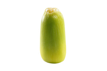 a stalk of corn on a white background