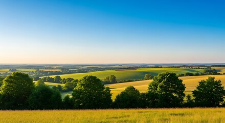 Fototapeta premium Vast Golden Wheat Field Under A Bright Blue Sky With Distant Rolling Hills And Lush Green Trees