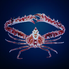 Vibrant red crab with detailed texture against a deep blue background, showcasing nature's intricate designs.