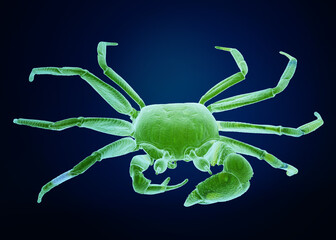 Green bioluminescent crab highlighted against a dark blue background.