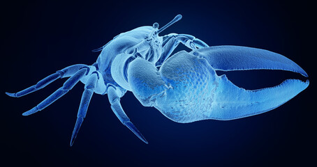 X-ray style digital rendering of a blue crab against a dark background, showcasing intricate details and textures.