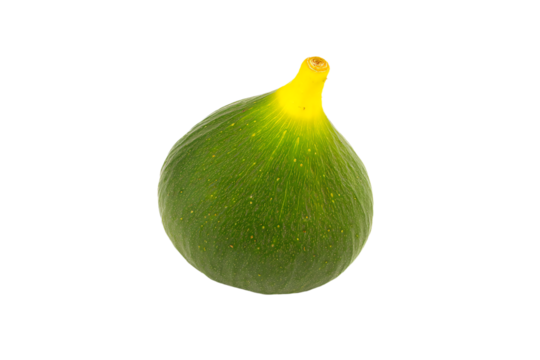 a green figurine with a yellow stem