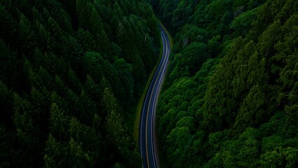 Obraz premium Scenic Winding Road Cutting Through Lush Green Forest from Above Creating a Sense of Adventure and Travel