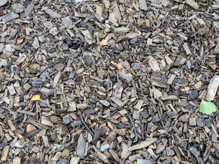 Wood chips scattered on natural ground