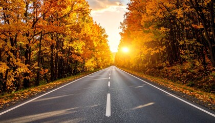Fototapeta premium Autumn road through a vibrant forest at sunset
