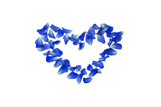 a heart made of blue petals on a white background
