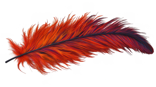 Single red feather with intricate details and colorful edges, isolated on a transparent background.